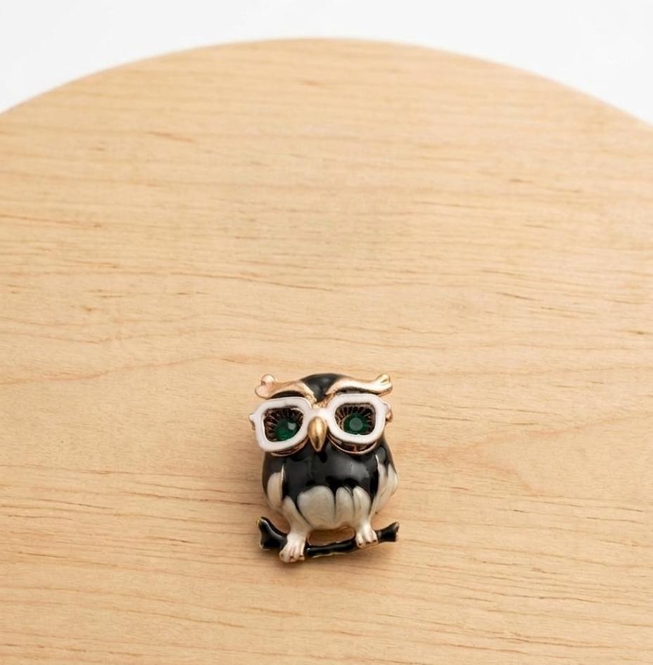The Scholarly Sage Enamel Owl Brooch