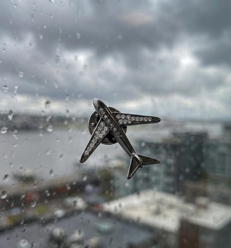 Gunmetal Crystal-Winged Airplane Brooch Pin